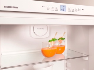 Двухкамерные холодильники "Либхер" с кнопочным управлением