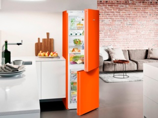 Двухкамерные холодильники Liebherr без NoFrost