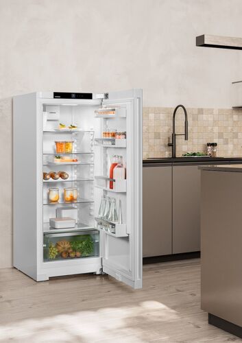 Однокамерный холодильник Liebherr Rf4600